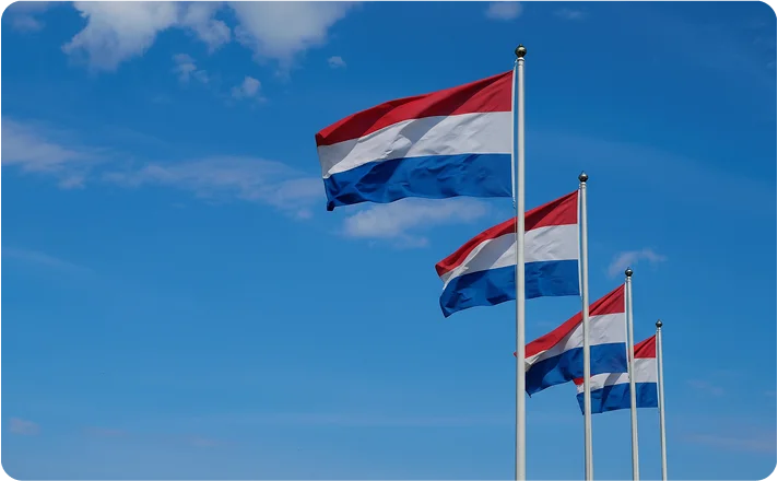 Umzug Niederlande flags