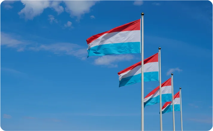 UmzugLuxemburg Flags