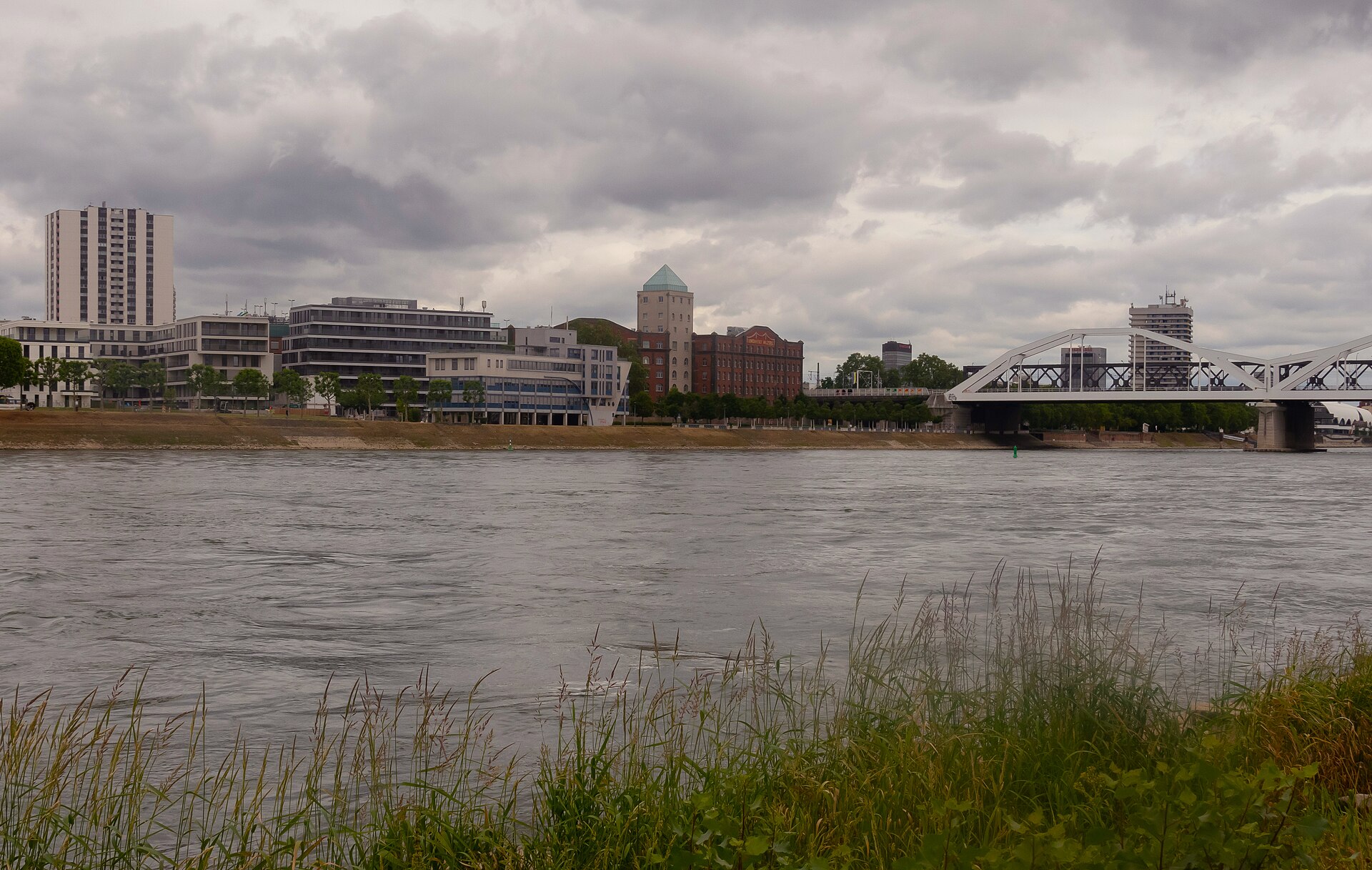 Blick über den Rhein auf Ludwigshafen am Rhein